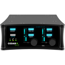 Cedar Audio DNS 2