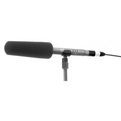 Schoeps W 140 (Black)