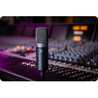 Slate Digital ML-1A